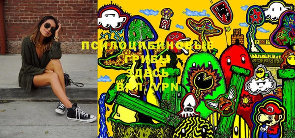 прущие грибы Абинск