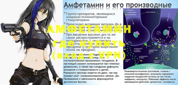 прущие грибы Абинск