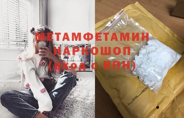 прущие грибы Абинск