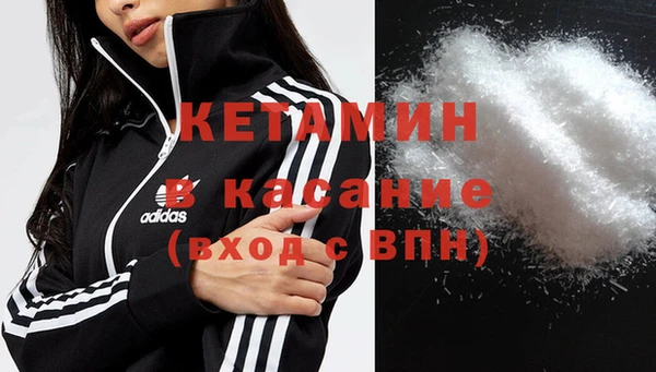 прущие грибы Абинск
