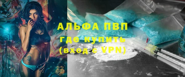 прущие грибы Абинск