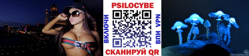 Галлюциногенные грибы Psilocybe  мега ONION  Каменка 