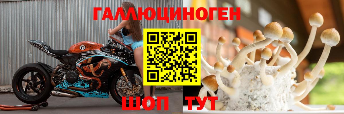 Псилоцибиновые грибы Cubensis  Псилоцибиновые грибы Psilocybine cubensis  Каменка  Вход с VPN 